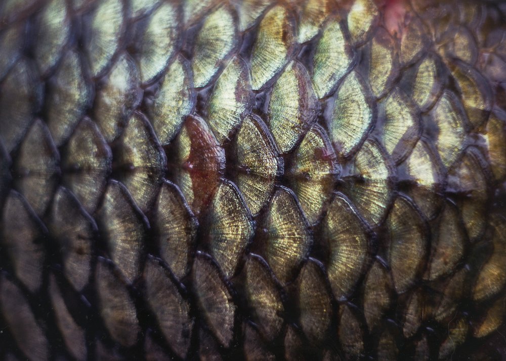 Photograph by Svoboda Andreeva