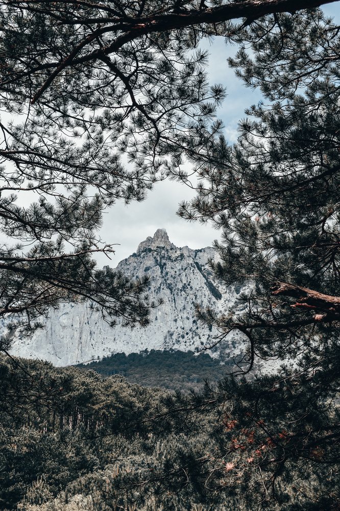 Photograph by Андрей Кутьин