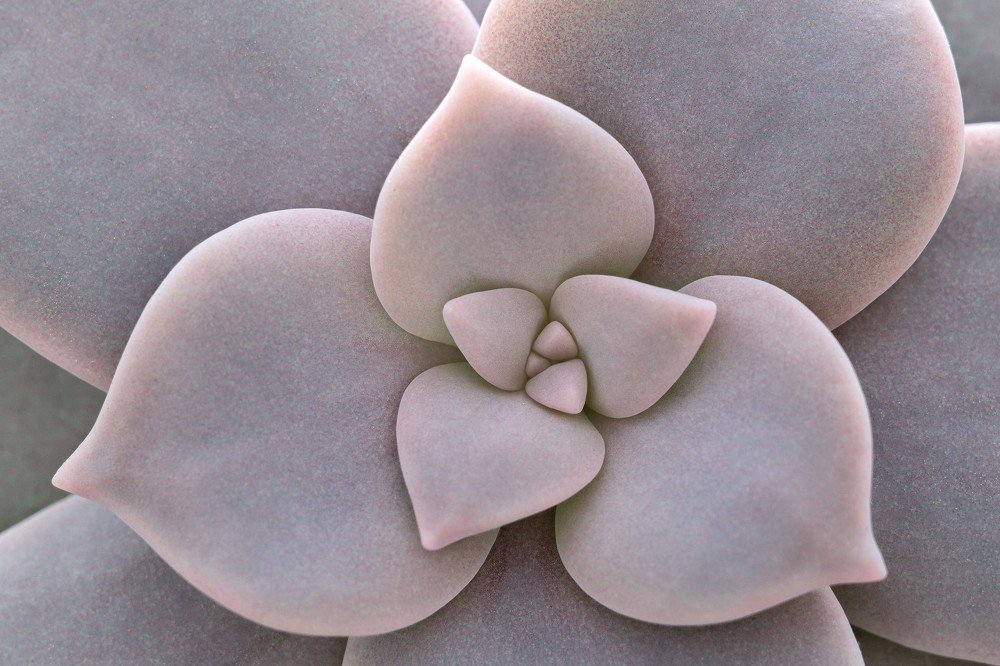 Photograph by Нурият Аллаярова