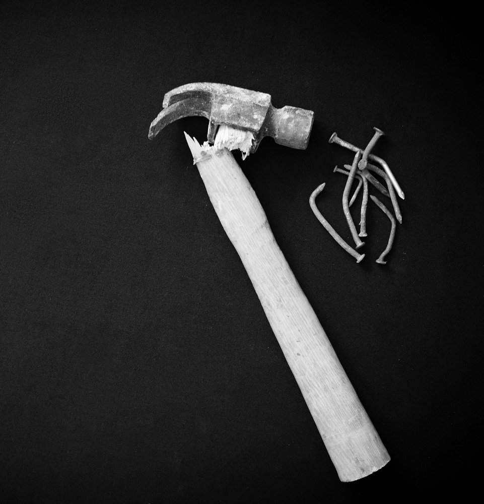 Photograph by Fereydoon ranjkesh