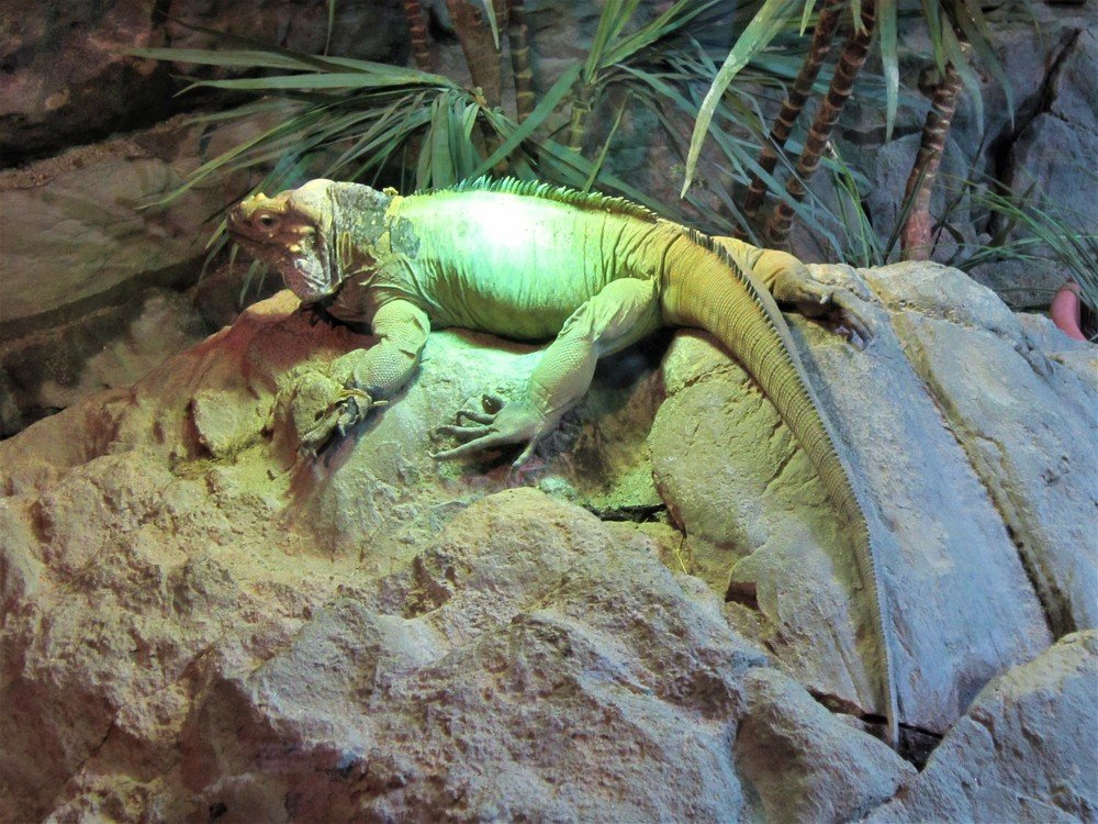 Photograph by Valeria Drozdova