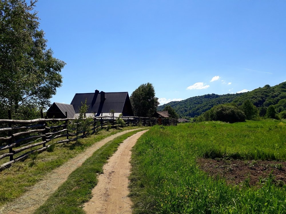 Дорога домой/ Way home