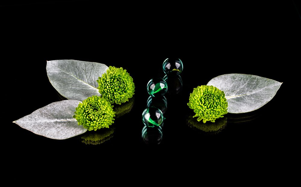 Photograph by Tamar Riabukha