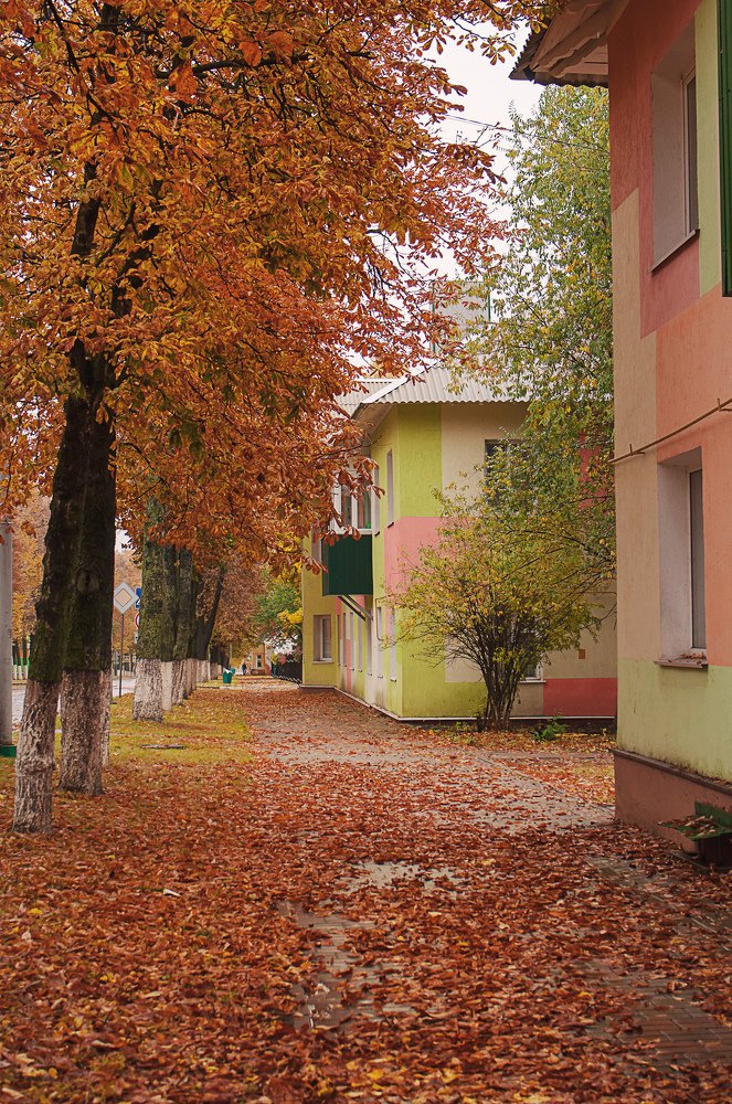 Просто листва...просто осень...