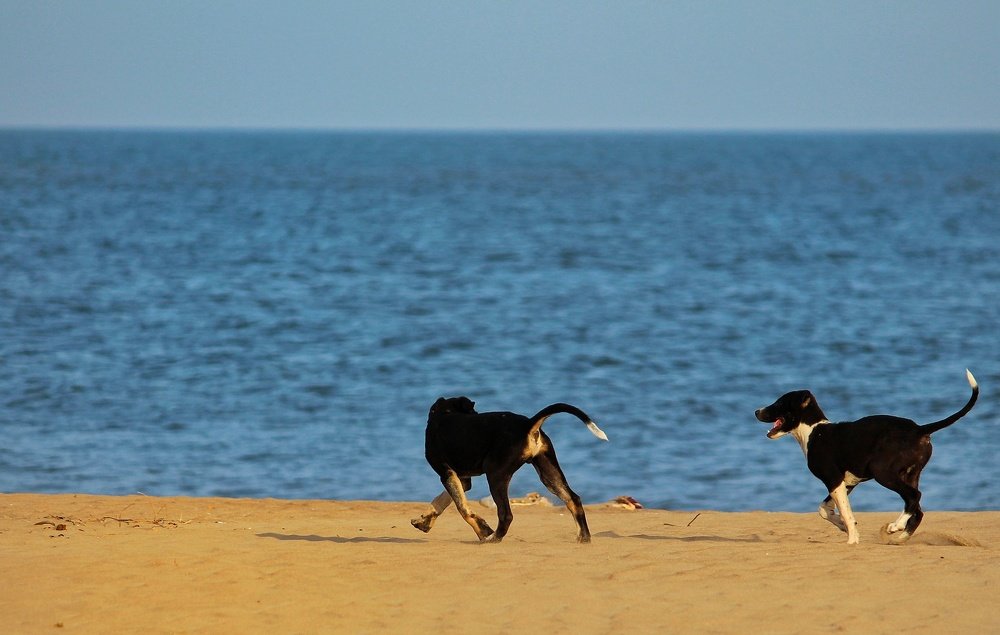 Photograph by Hardeep Solanki