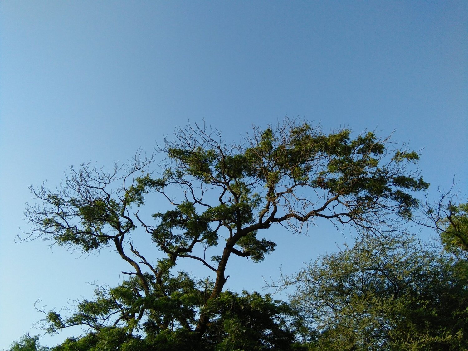 Photo #3771898