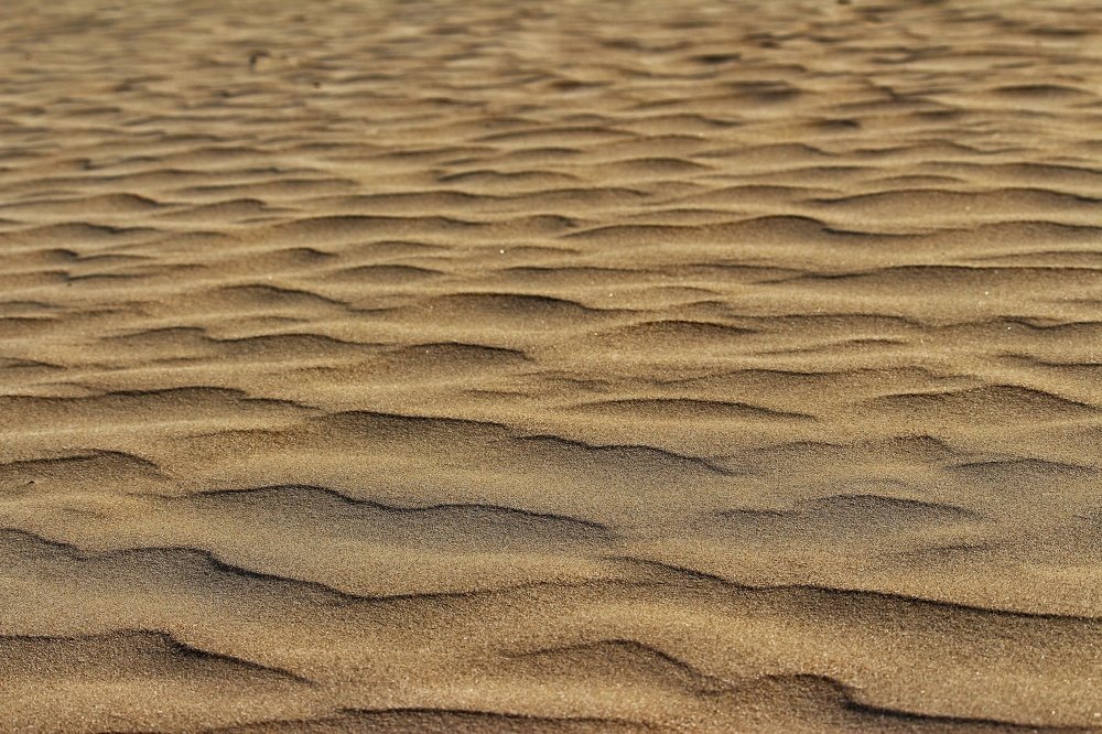 Photograph by Hardeep Solanki