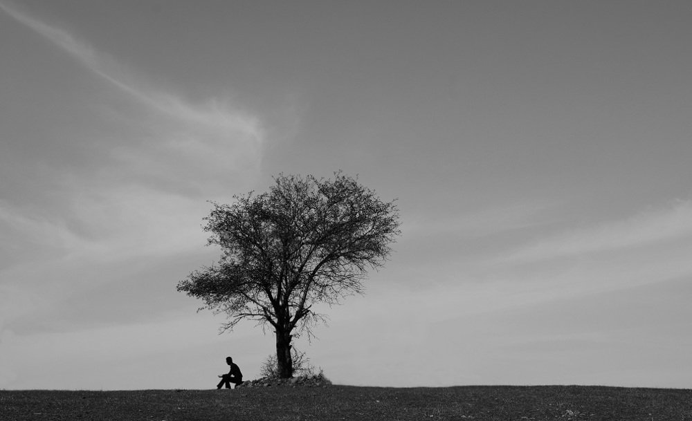 Photograph by Fereydoon ranjkesh