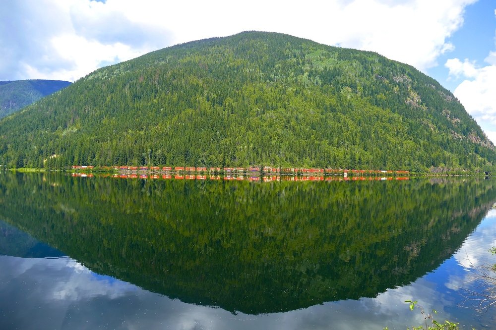 Фотография автора 