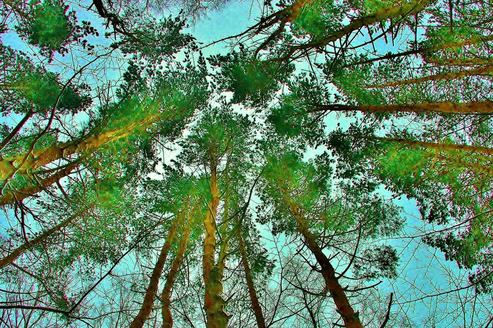 Photograph by 