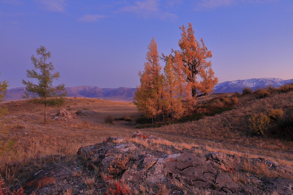Photograph by 