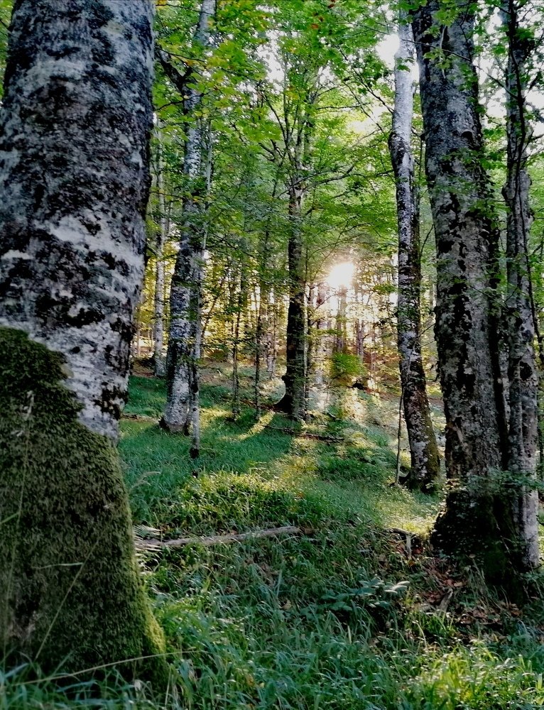 Bjelašnica