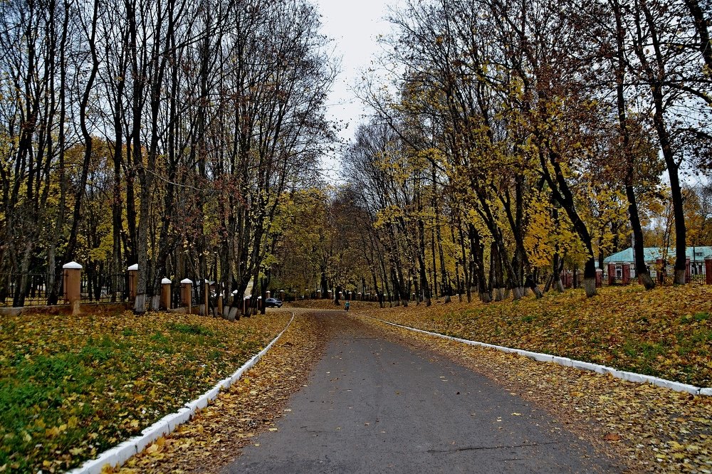 Брянская осень