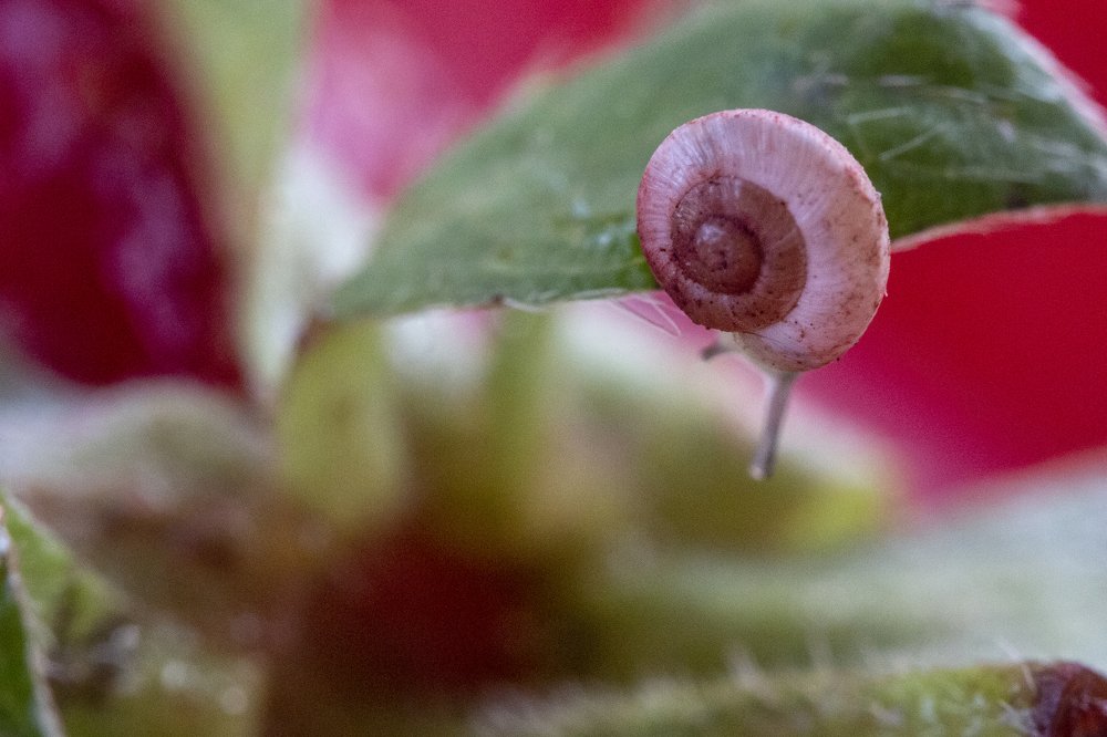 Photograph by Kristine Soghomonyan