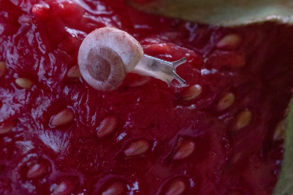 Минимальное движение