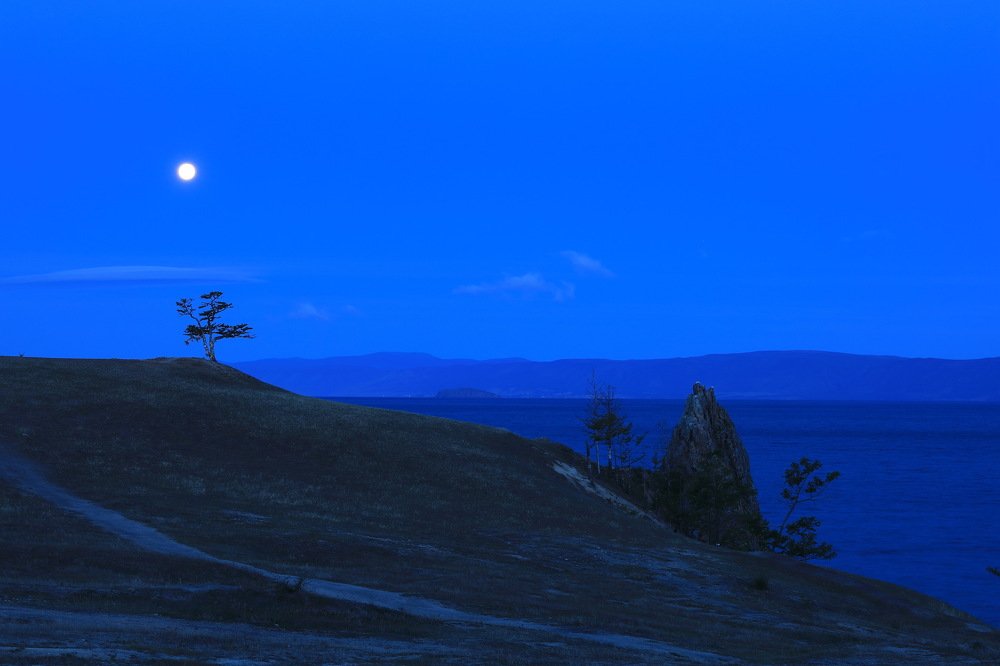 Photograph by 