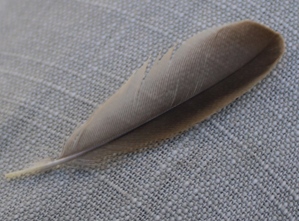 Photograph by Николай Немчанинов