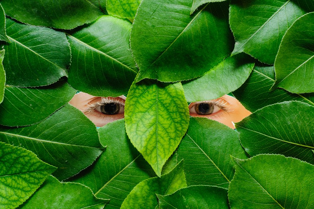 Photograph by Gennadii Zakirov