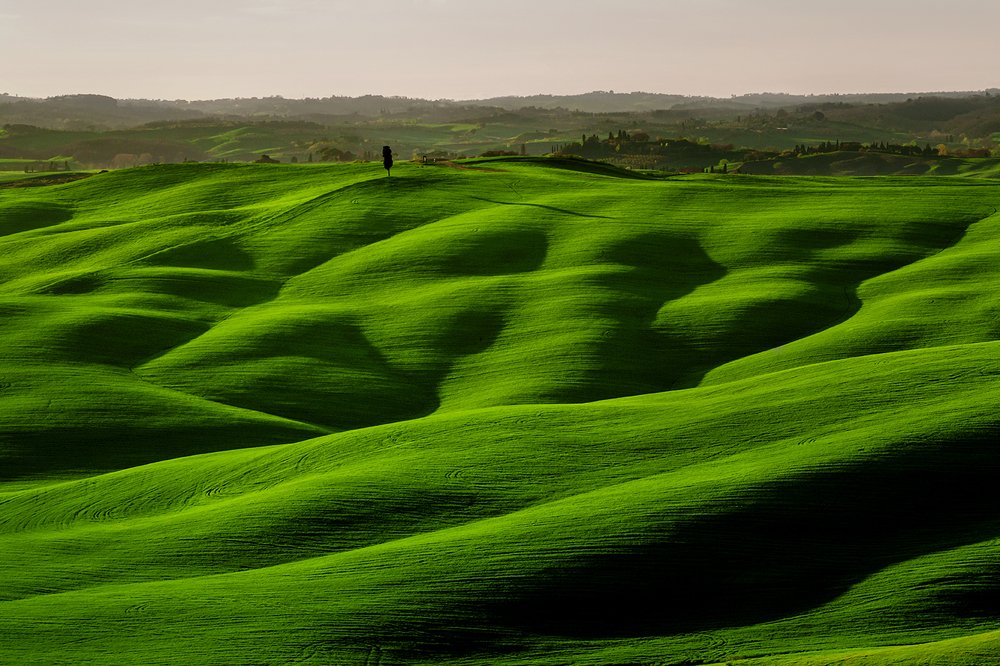 Бархатные поля Тосканы