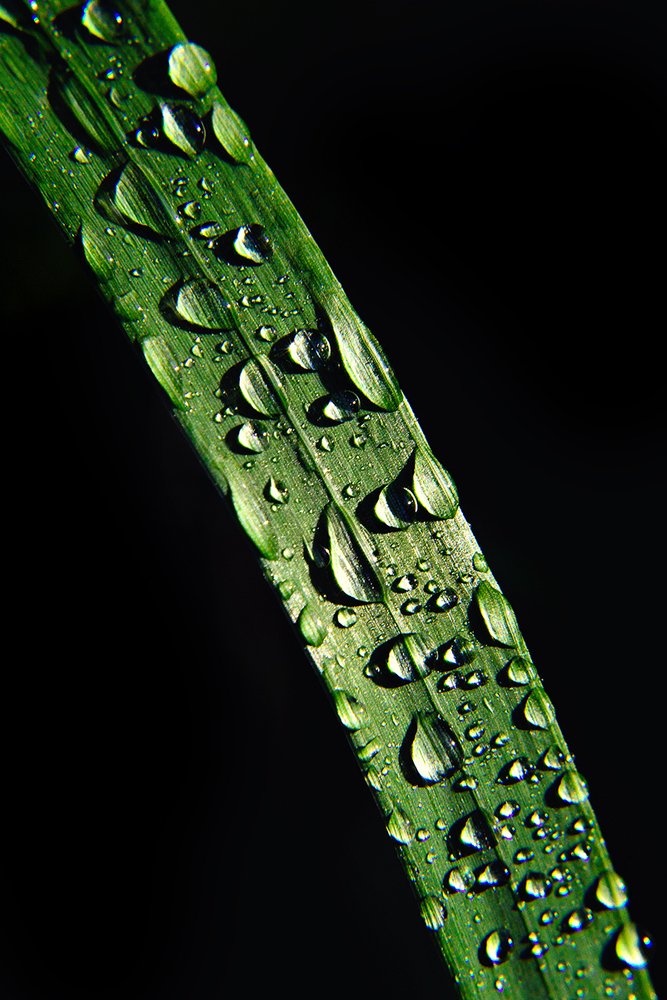 Photograph by Gennadii Zakirov