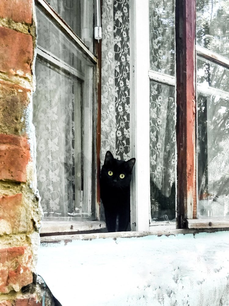 Photograph by Чернякова Анна