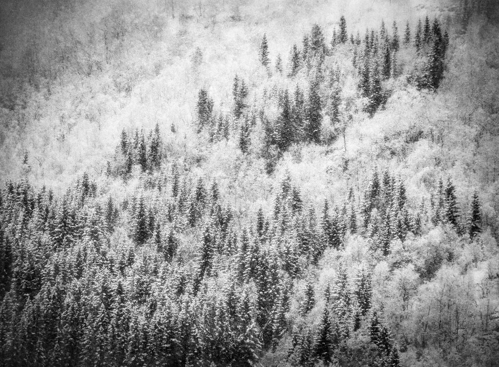 Photograph by igor kostin