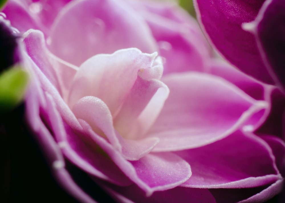 Photograph by Phuoc Dung Nguyen