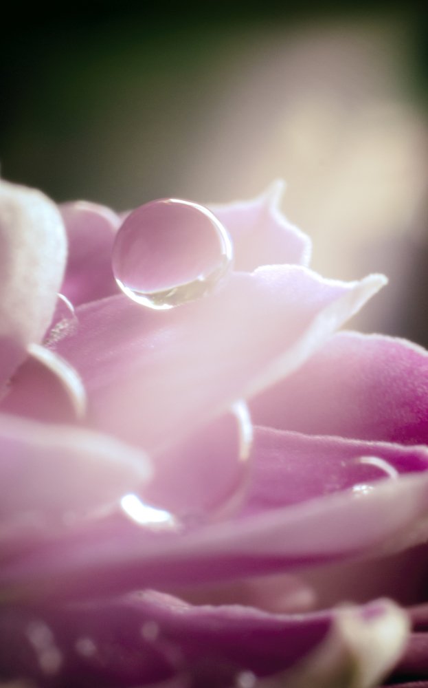 Photograph by Phuoc Dung Nguyen