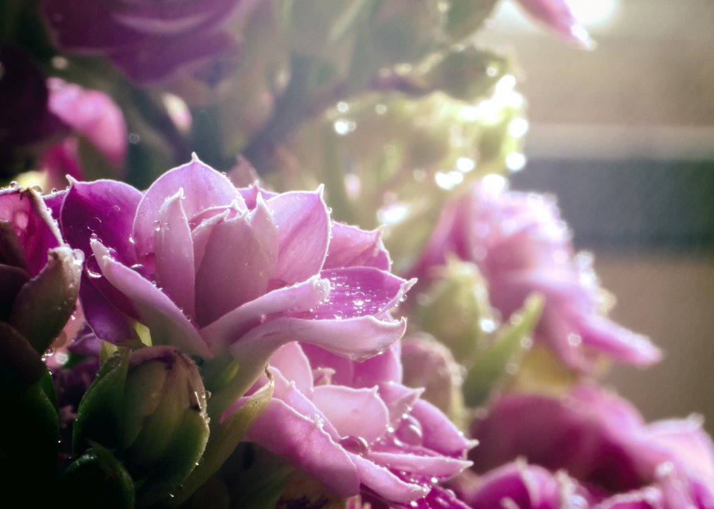 Photograph by Phuoc Dung Nguyen