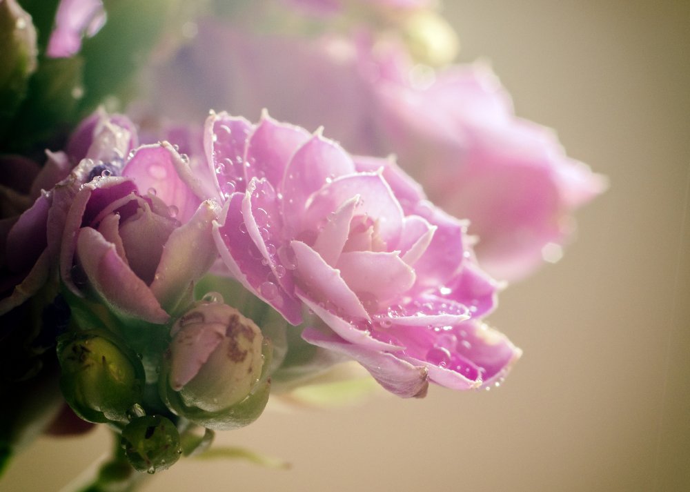 Photograph by Phuoc Dung Nguyen