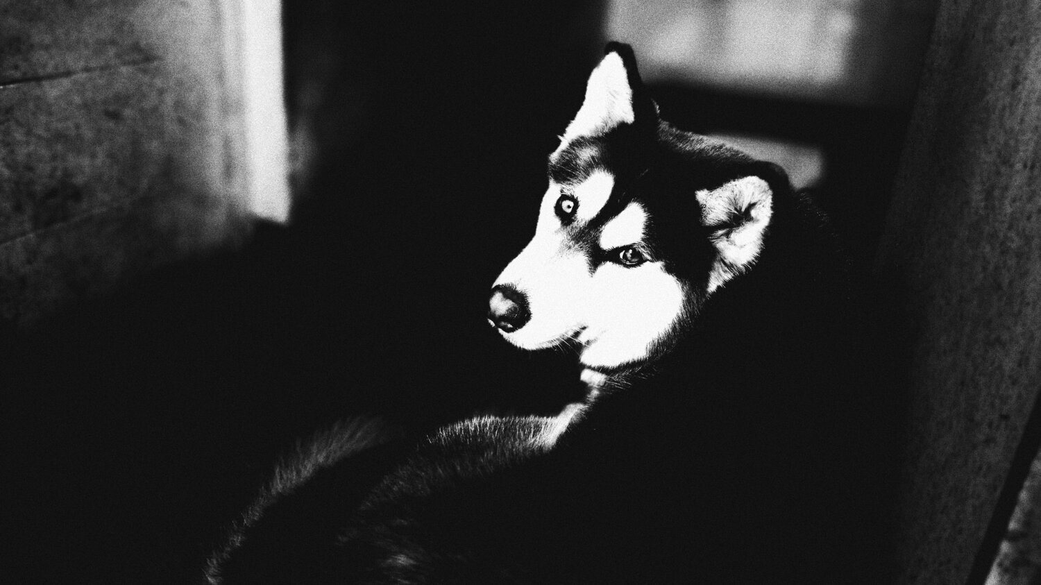 Photo #3772204