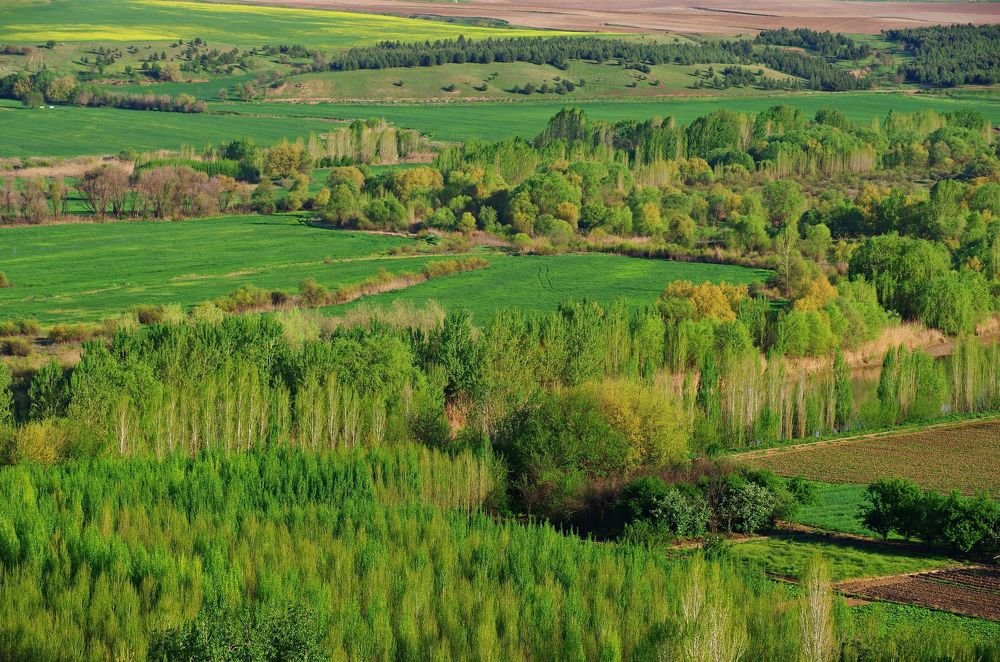 Hevsel ecological gardens in city of Diyarbakir in Turkey. 03