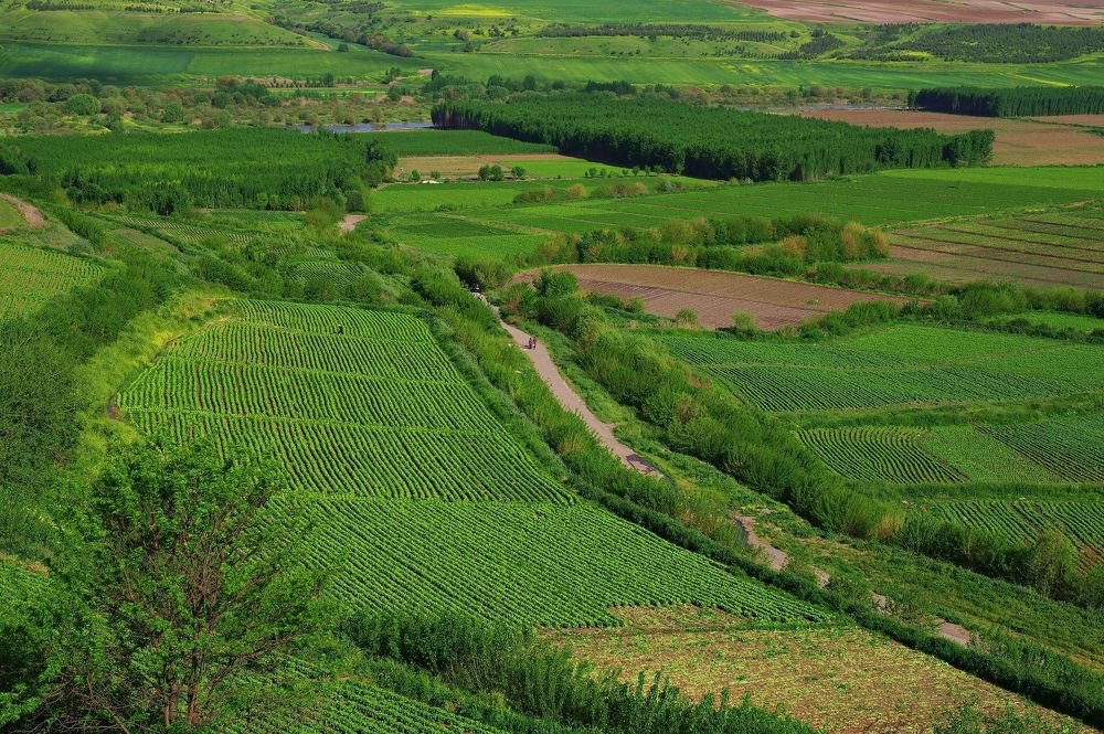 Hevsel ecological gardens in city of Diyarbakir in Turkey.