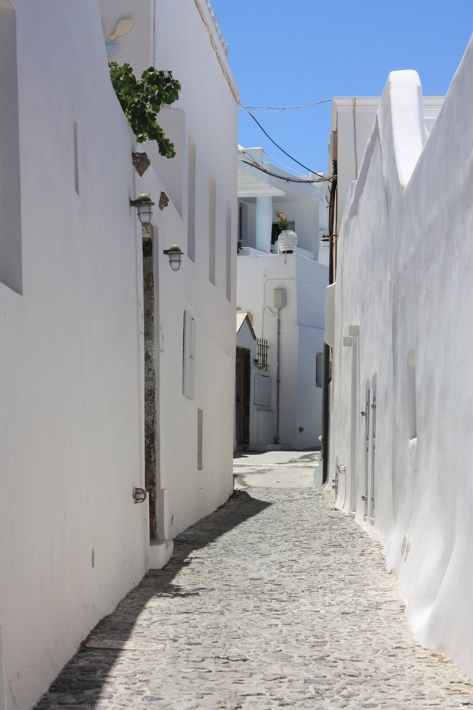 Photograph by Людмила Травина