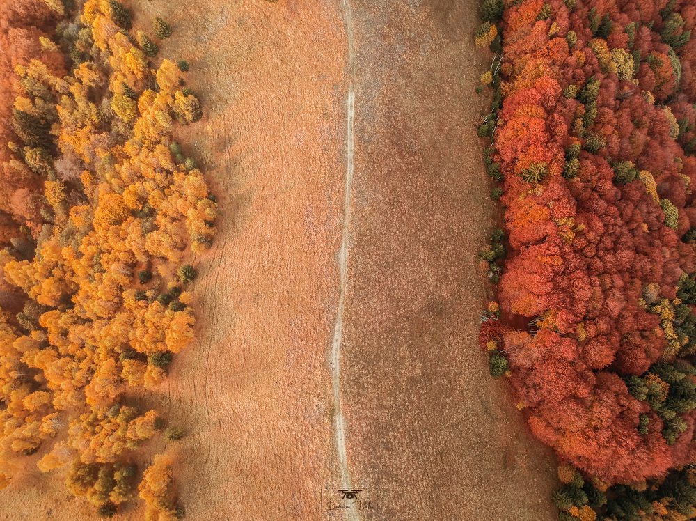 Photograph by Barbu Laurentiu