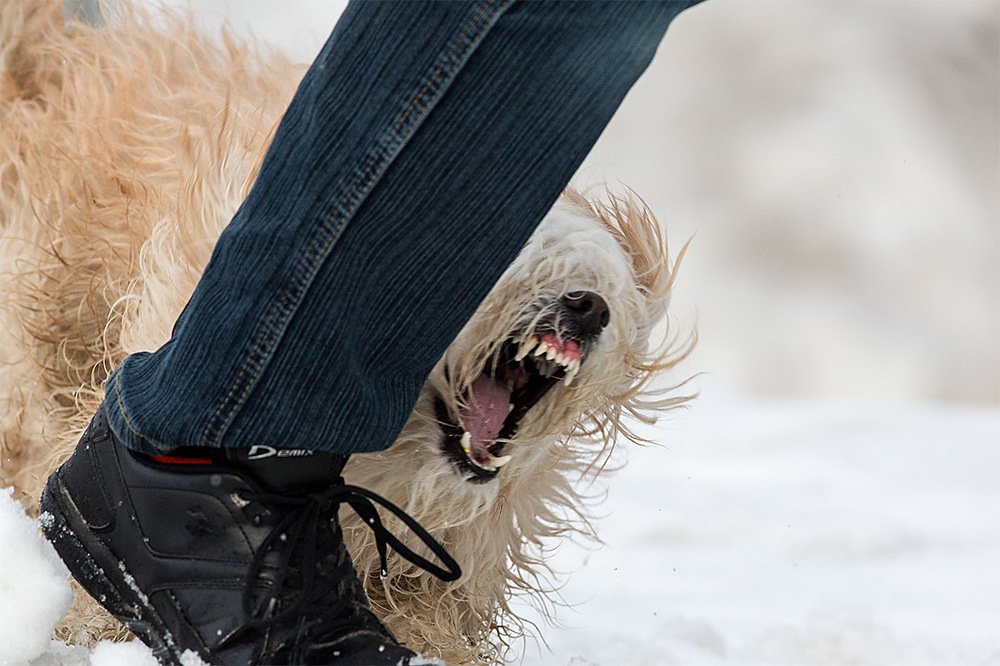 Фотография автора Павел Жигалов