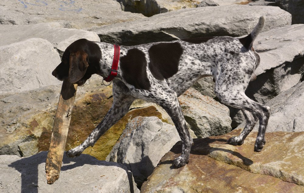 Photograph by Marisa Dovrtel