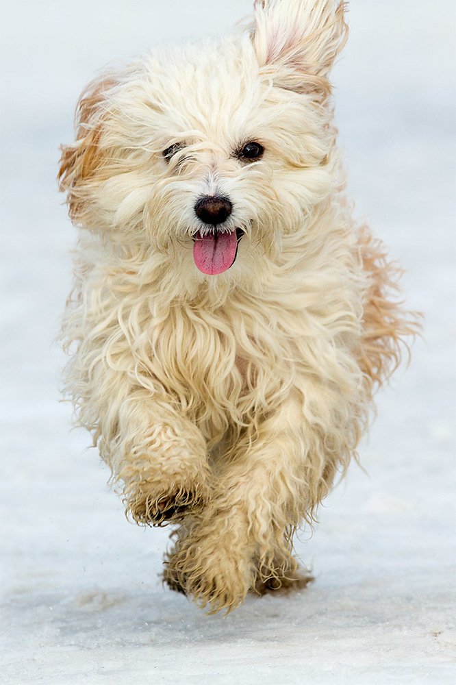 Фотография автора Павел Жигалов
