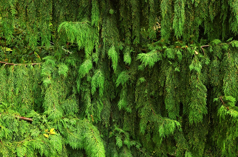 Photograph by Пилишенко Евгений