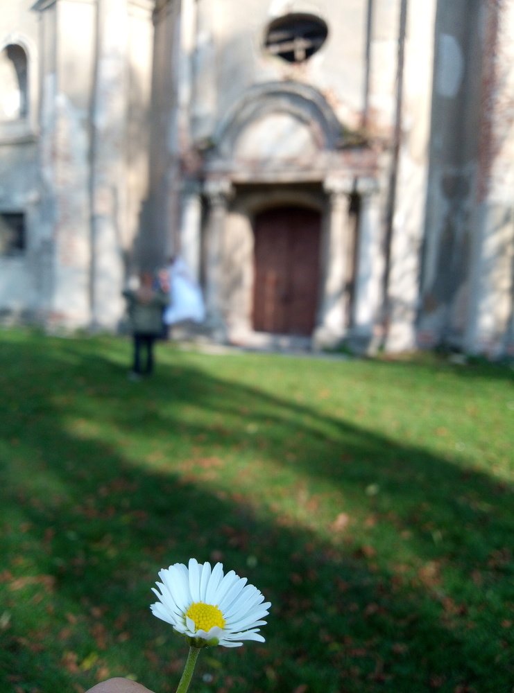 Photograph by Наталія Дронюк