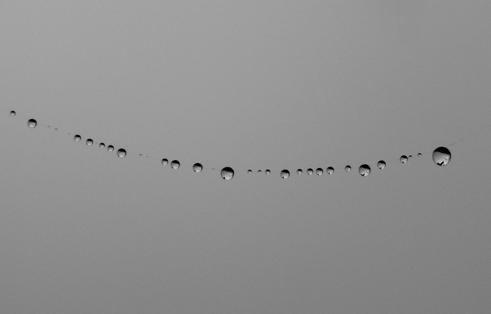 Photograph by Fereydoon ranjkesh