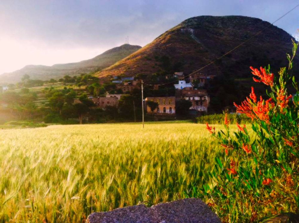 Photograph by Rassam Ali AL baadani