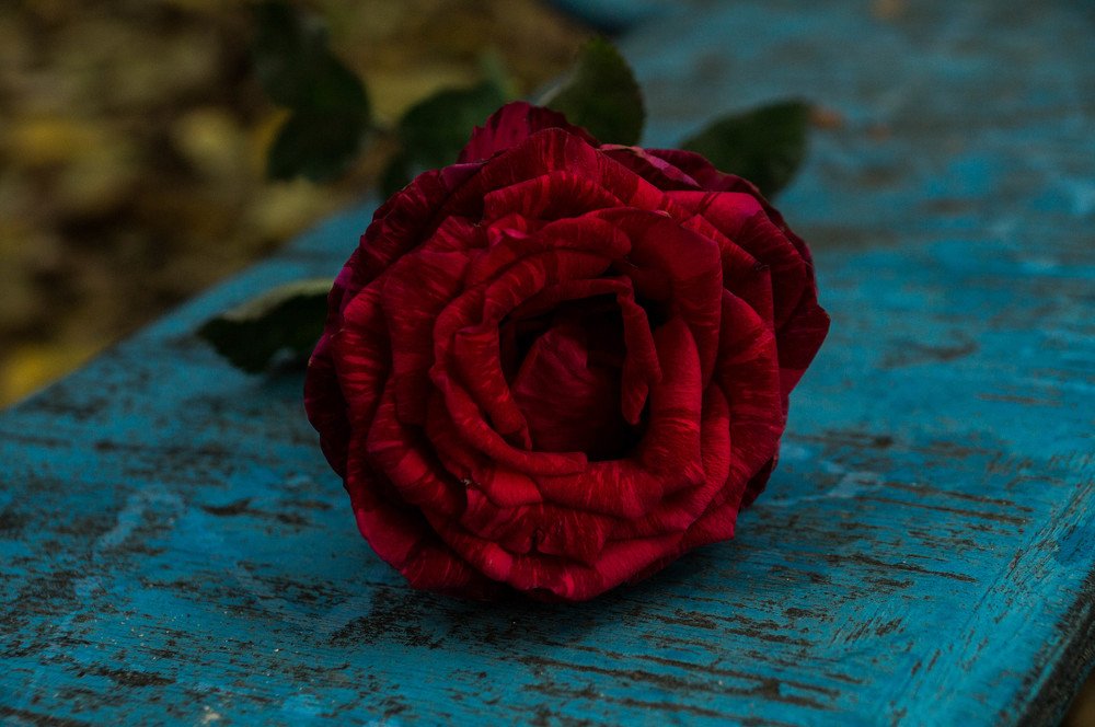 Photograph by Танюша