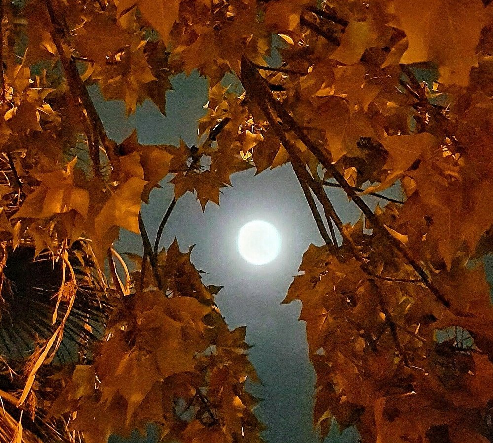 Photograph by Михаил Драйшпиц