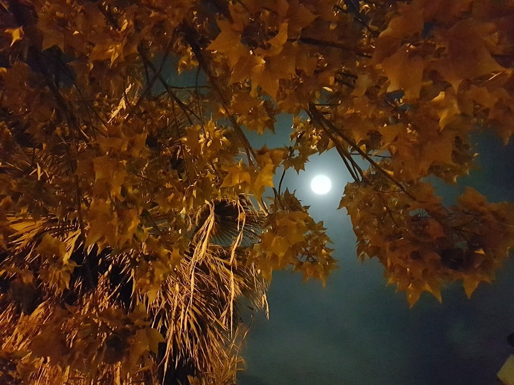 Photograph by Михаил Драйшпиц