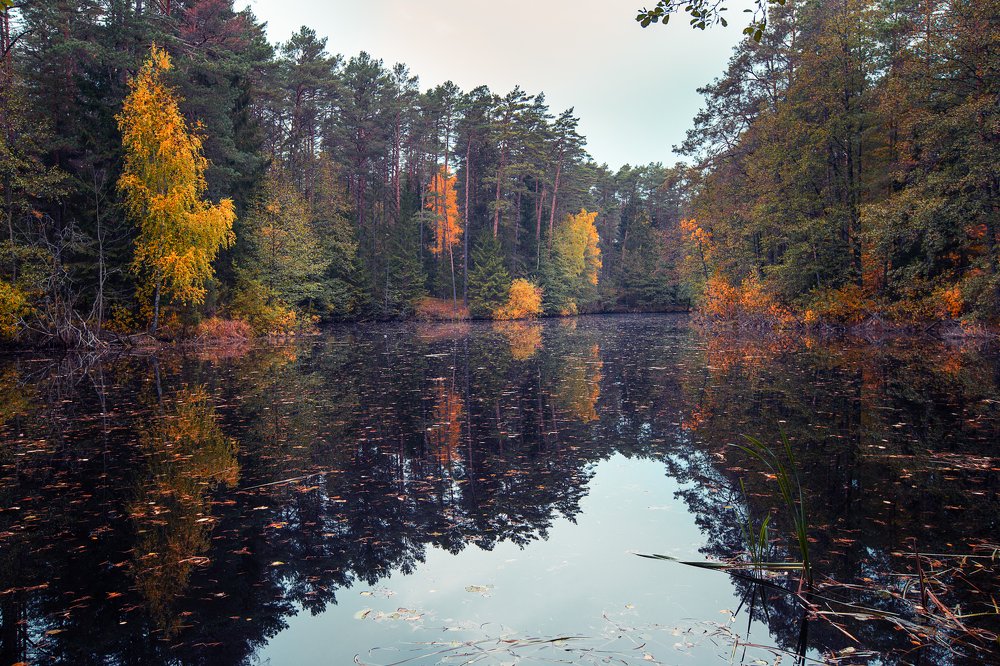 Photograph by Ignas Lazauskas