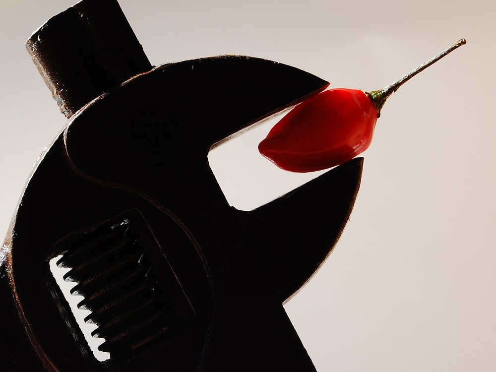 Photograph by Ruben Arteaga