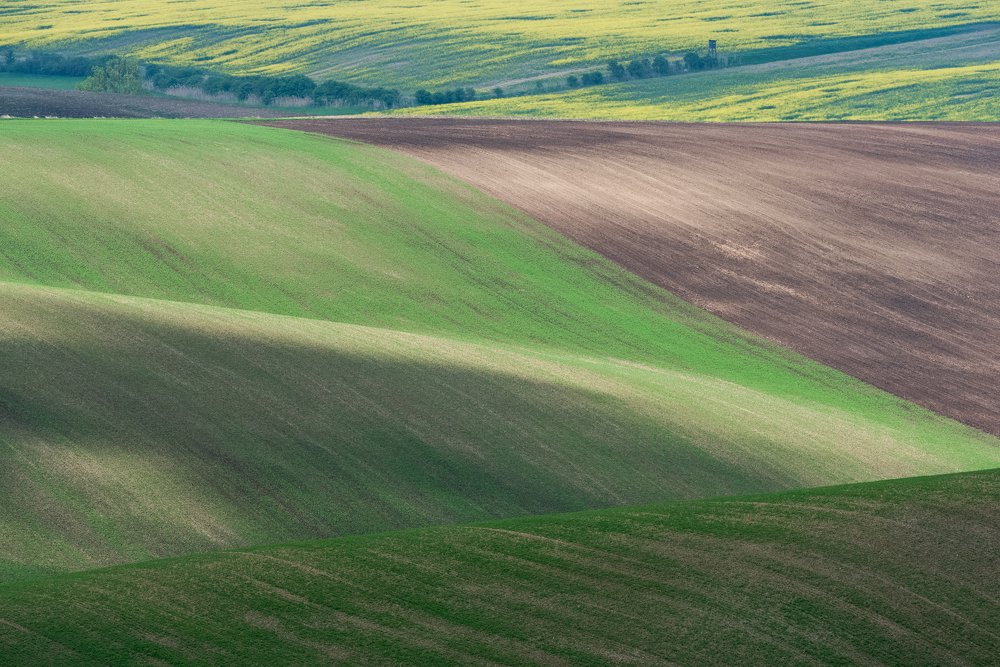 Photograph by Larisa Cekanaviсa