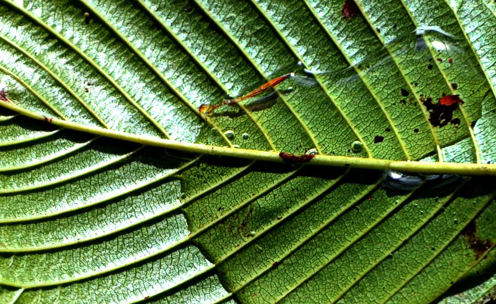 Фотография автора Jadranka Mamić