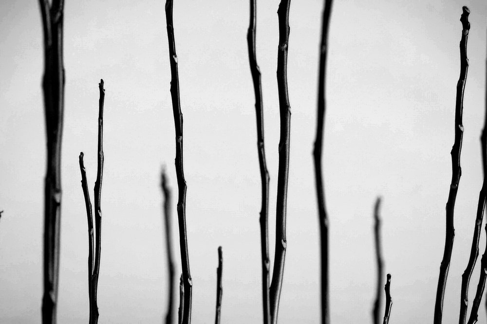 Photograph by Milica Jovicevic